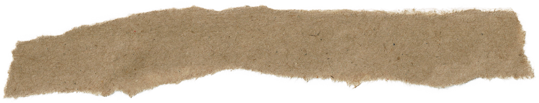 Torn Brown Kraft Paper Strip